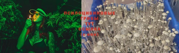спайс Няндома