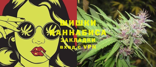 ГАЛЛЮЦИНОГЕННЫЕ ГРИБЫ Нягань