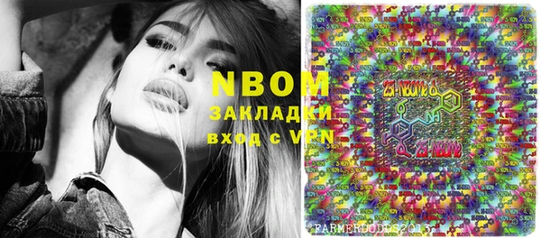 спайс Няндома